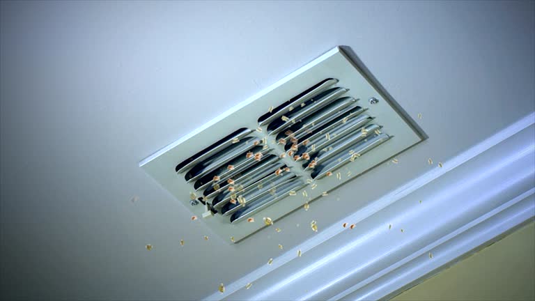 Best General Air Duct Cleaning  in Angleton, TX