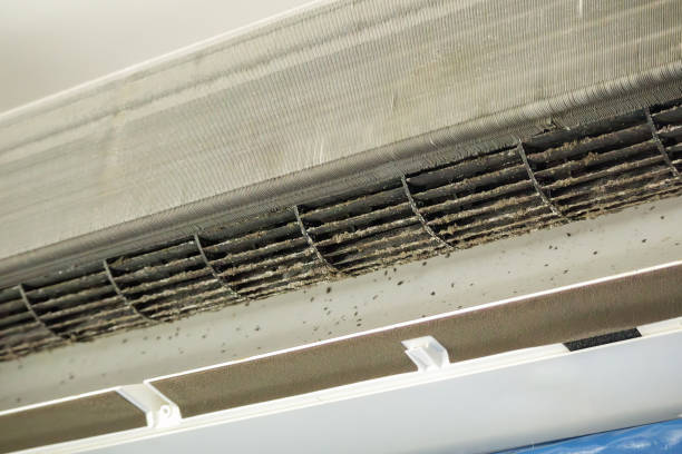 Home Air Vent Cleaning in Angleton, TX