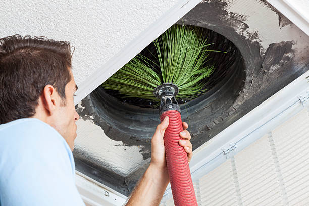 Best Home Air Vent Cleaning  in Angleton, TX
